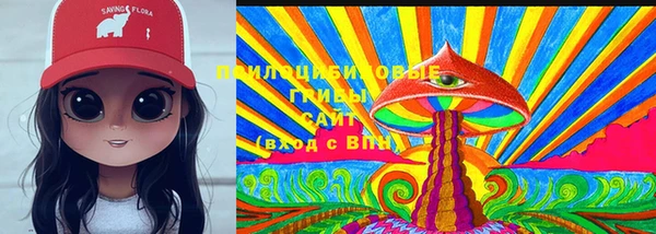 меф Заводоуковск