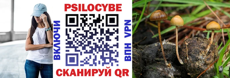 Псилоцибиновые грибы MAGIC MUSHROOMS Западная Двина