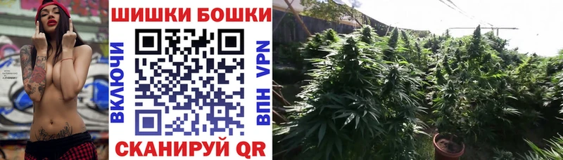 где продают наркотики  МЕГА зеркало  даркнет официальный сайт  Западная Двина  Каннабис Ganja 